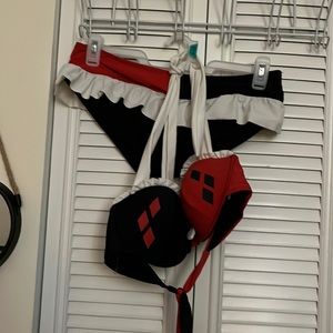 Harley Quinn two piece swimsuit